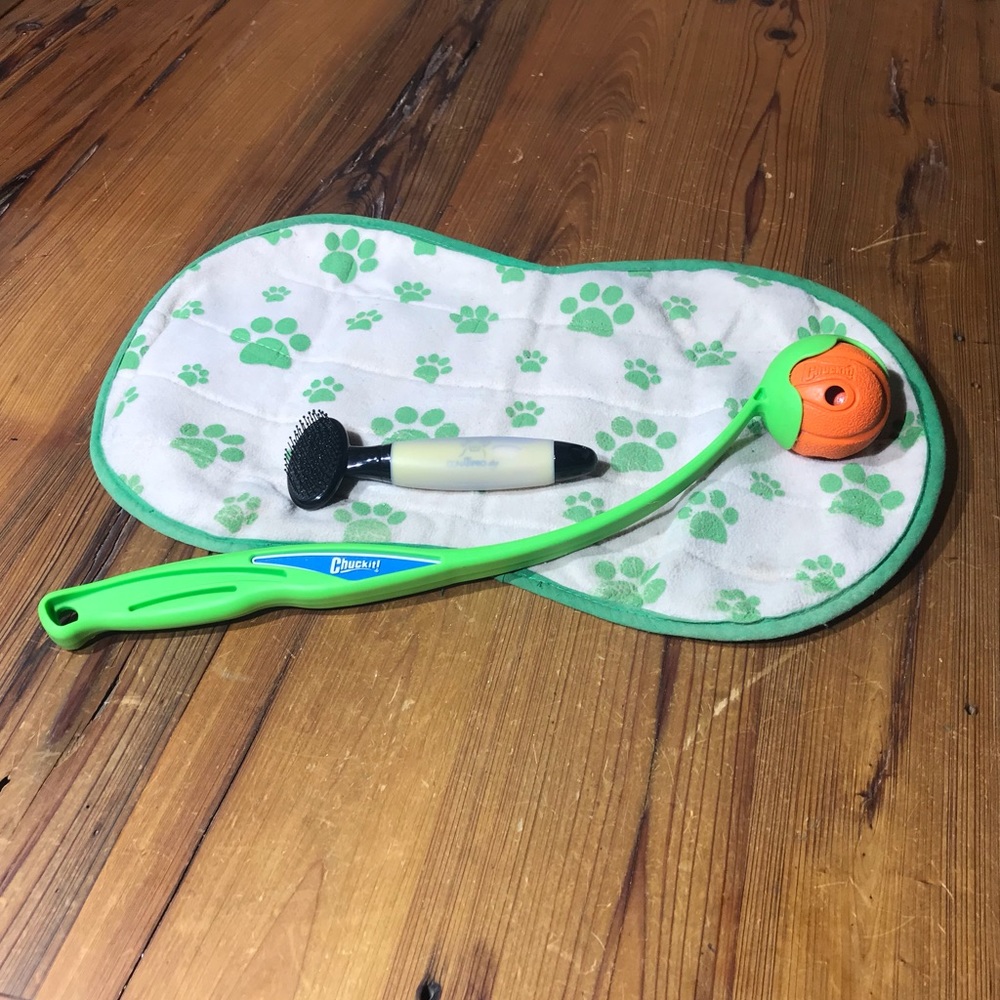 Dog Lover Bundle - Chuckit Ball Toy, Brush & Mat